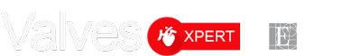ValvesXpert